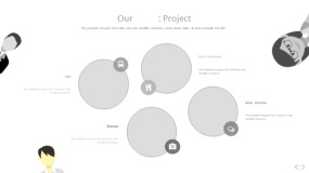 文艺淡雅浅灰色PPT图表(82)