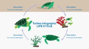 蓝色大海鱼群海洋生物PPT图表下载(22)