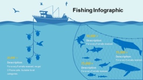 蓝色大海鱼群海洋生物PPT图表下载(23)