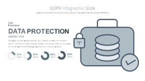 线条边框GDPR信息图PPT图表下载(13)