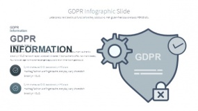 线条边框GDPR信息图PPT图表下载(30)