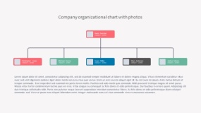 组织架构PPT模板免费下载(1)