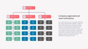 组织架构PPT模板免费下载(12)