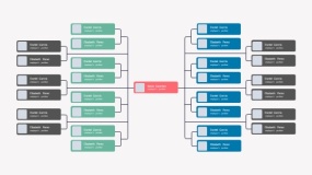 组织架构PPT模板免费下载(20)