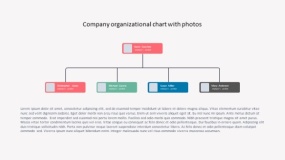 组织架构PPT模板免费下载(3)