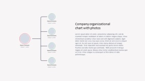 组织架构PPT模板免费下载(31)