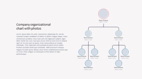 组织架构PPT模板免费下载(33)