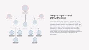 组织架构PPT模板免费下载(34)