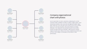 组织架构PPT模板免费下载(35)