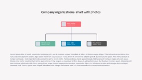组织架构PPT模板免费下载(5)