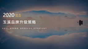 2020玉溪烟草品牌升级策略方案PPT下载