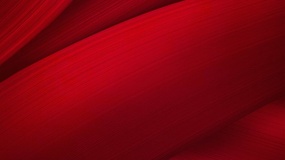 红色纯色底图PPT背景图片(6)