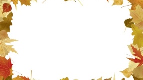 环保PPT绿植边框PPT背景图片(11)