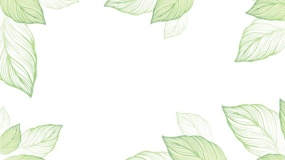 树叶边框PPT背景图片(15)