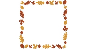 植物边框图片PPT背景图片(16)