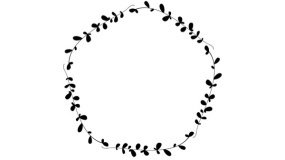 植物边框手绘PPT背景图片(17)