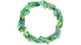 植物边框牌PPT背景图片(24)