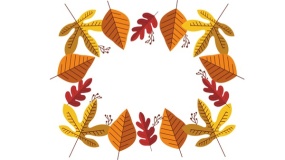 简单漂亮花框图片PPT背景图片(27)