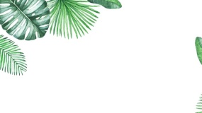 植树节PPT植物边框PPT背景图片(31)