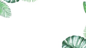 好看植物边框PPT背景图片(32)