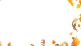 简单边框图片PPT背景图片(34)