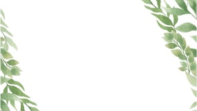 卡通植物边框图片PPT背景图片(39)