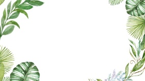 植物边框背景图片PPT背景图片(4)