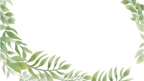 花纹边框图片PPT背景图片(40)