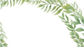 植物边框背景图片PPT背景图片(41)