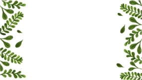 植物背景图片PPT背景图片(42)