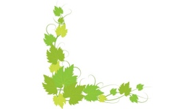 藤蔓边框图片大全PPT背景图片(48)