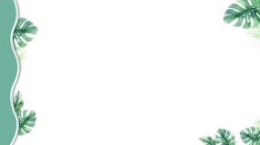 植物边框PPT背景图片(69)