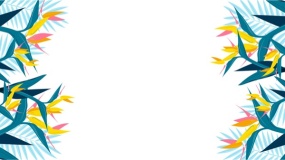 植物边框素材PPT背景图片(72)