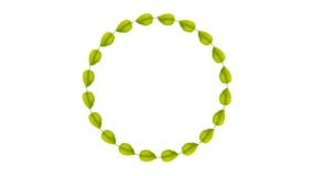 简约绿植边框PPT背景图片(79)