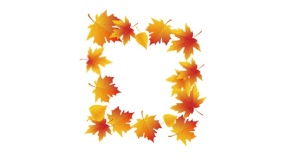 植物画框PPT背景图片(85)