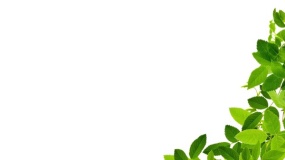 边框图片大全简单又漂亮PPT背景图片(88)