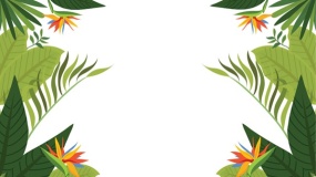 植物花边边框简单又漂亮PPT背景图片(90)