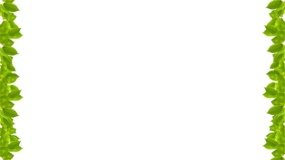 植物边框牌PPT背景图片(91)