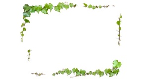 长方形花边边框PPT背景图片(92)