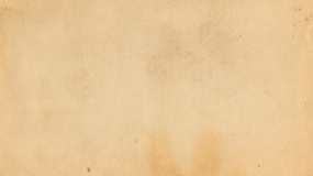 一张浅色系图片PPT背景图片