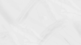 一张颜色浅的图片PPT背景图片