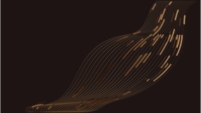 炫酷金色图片PPT背景图片(11)