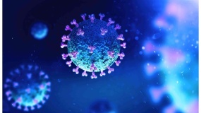 一张人工智能机器人图片