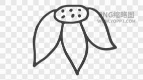 手绘黑色描边卡通花朵植物素材PNG图片15