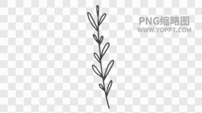 手绘黑色描边卡通花朵植物素材PNG图片26