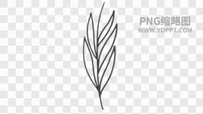 手绘黑色描边卡通花朵植物素材PNG图片27