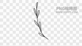 手绘黑色描边卡通花朵植物素材PNG图片36