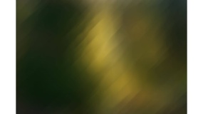 背景虚化图片素材(23)