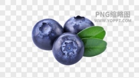 水果图片水果免抠透明图素材下载(114)