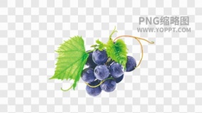 水果图片水果免抠透明图素材下载(31)